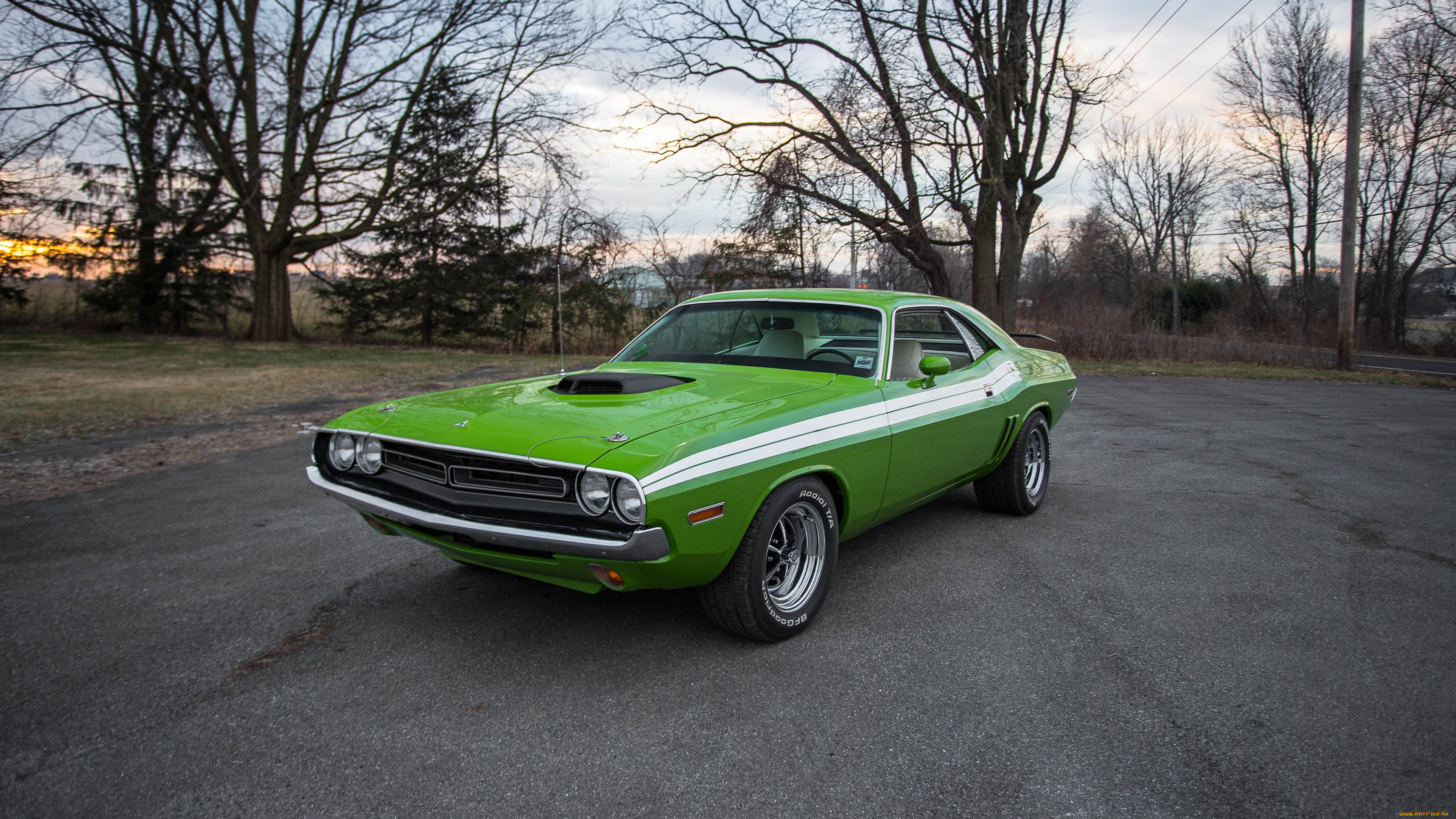 , dodge, 1970, challenger